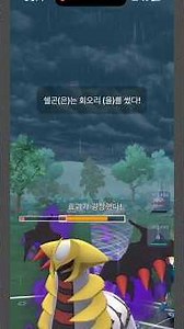 회오리 맞고 빈사상태 기라티나
