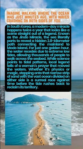 Walking On Water? The Real Jindo Miracle Revealed! 🌊