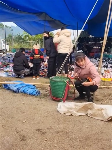 Creating a New Home for Your Chickens as a Single Mother