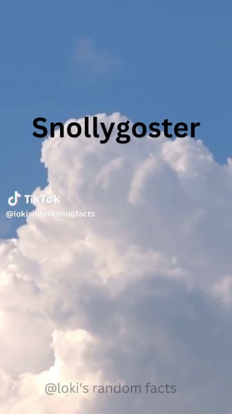 Divertidos y raros: palabras en inglés