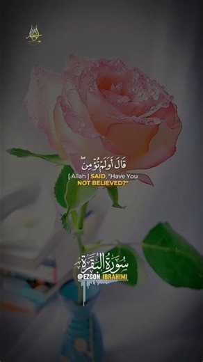 حين يتحوّل الشك إلى يقين… مشهد يهزّ القلب ✨ #سورة_البقرة #اليقين