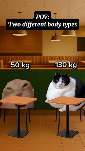 Lucky vs unlucky😂 #cats #catmemes #viralvideochallenge #fypシ゚ #relatable | Cat Meme Hub