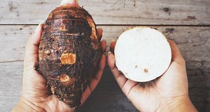 Como Plantar Inhame em Casa - Passo a Passo e Cuidados