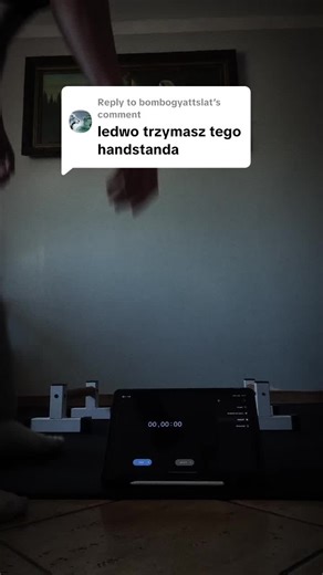 Exploring Calisthenics Techniques for Gym Rats