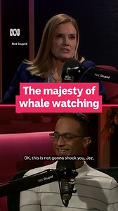 "A magnificent beast like the humpback whale, kind of huge and mighty and yet so imperilled, can replenish and can kind of flourish again." 🐋 | ABC listen
