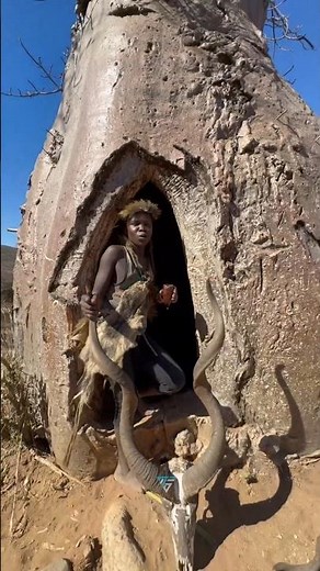 The Tree That Saved a Tribe from Extinction! #facts #shorts #trending #triballife #tribal #amazing