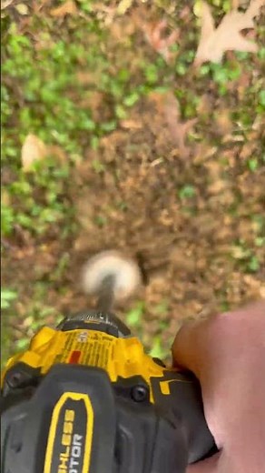 Termite bait system install. #pestcontrol