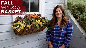 Lots of color in this simple window box for fall! | Proven Winners