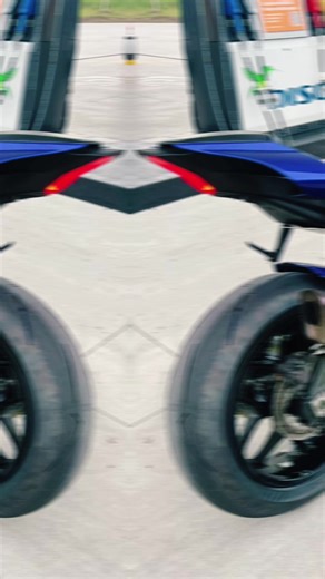 La paloma 2025@oscarradical