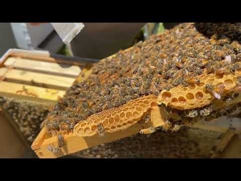 How to Install a Nuc