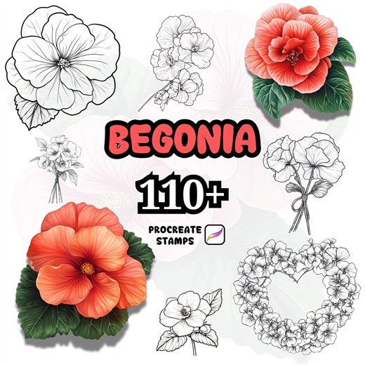 Procreate Flower Brushes, 110+ Begonia Flower Procreate Brushes, Floral Procreate, Procreate Brushes, Plants, Wild Flowers, Begonia Flower - Etsy