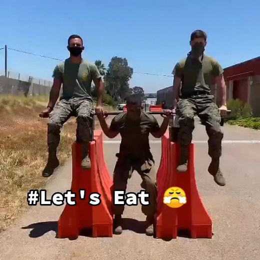 #animal fitness coach