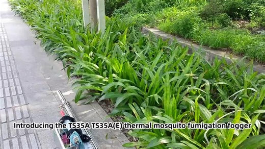 Portable Mini Thermal Fogging Spraying Aeroestatic Fogger Gun Machine for Mosquito Sprayer