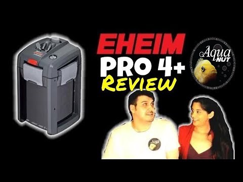 EHEIM Pro 4 + Canister Filter Review | Eheim Professionel 4 350