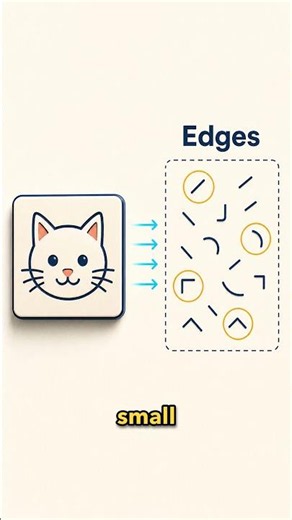 What Is a Neural Network? Not a Tiny Digital Brain