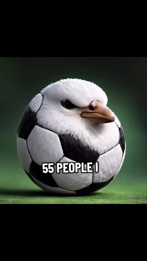 55 People I Love You: A Unique Tennis Experience