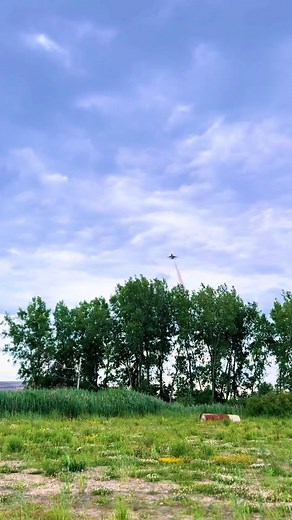 David Constantine (@david_constantine18)’s videos with Lobster - RJ Pasin