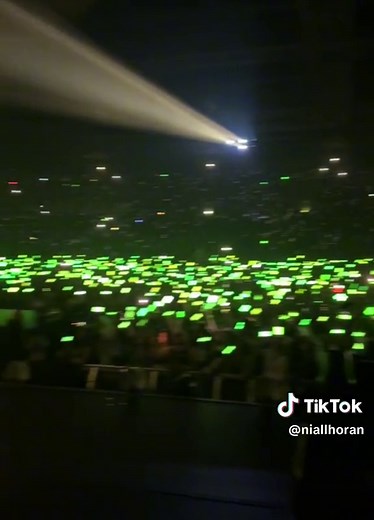 Niall Horan Night Twelve Paris Concert 2024