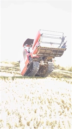 YANMAR 💸🌾#shorts