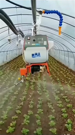 LIQUID SPRAYING IN A GREENHOUSE