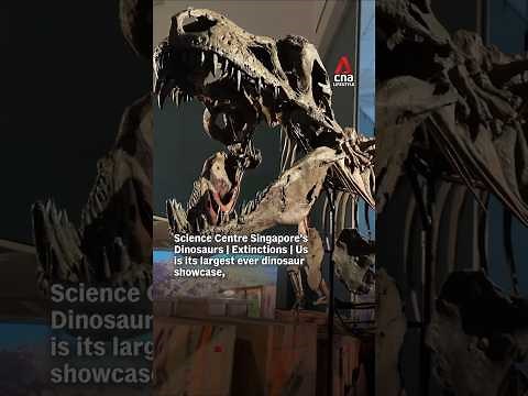 Science Centre Singapore's largest-ever dinosaur showcase features 33 rare fossils and 60 full-scale models
