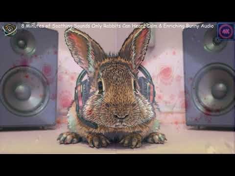 🎧 8 Minutes of Soothing Sounds Only Rabbits Can Hear 🐰 | Calm & Enriching Bunny Audio