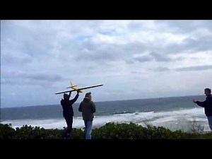 Robbe Fox 2.17m wingspan