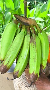 1M views · 24K reactions | Raw Banana Kofta Curry Recipe | Traditional Indian Style #shorts #recipe #cooking #bengalirecipe | Old Cooking | Facebook