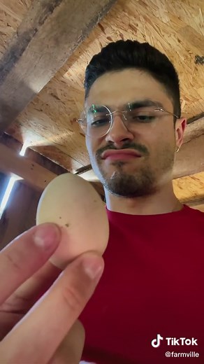 Abundance in FarmVille: Collecting Eggs Guide