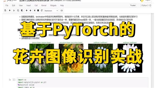 毕设有救了！基于Pytorch的花卉识别模型实战课，研一研二看完就能上手，原理详解 项目实战全教！---人工智能/深度学习/计算机视觉
