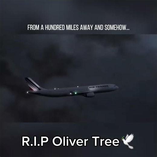 R.I.P Oliver Tree... Air France 447 and Air France 358