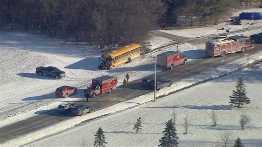 10 students hospitalized after Will County school bus crash; other driver dead