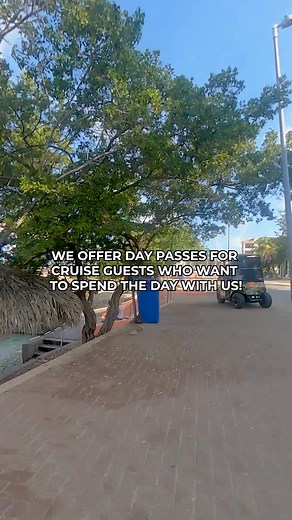 27K views · 252 reactions | Thinking of visiting Bonaire?  Discover...