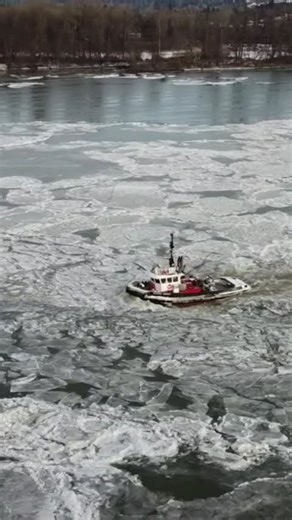 Intrepid little tugboat in ice floes along the Fraser River