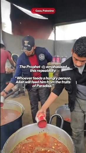 Essential Support Reaching Vulnerable Communities Across Palestine | Updated on 5th September