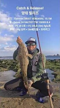 Yangtae Release! Four Seasons Beach Surf Game #JejuFishing #fishing #baitreel #Catch&Release