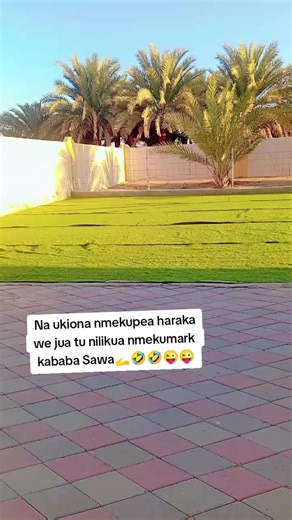 Understanding TikTok Trends: A Deep Dive