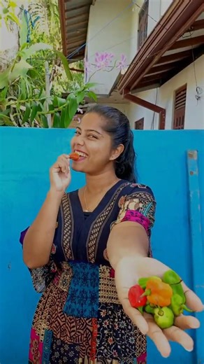 මේකේ රස |No One Tells You This Secret! 😋 Perfect Spicy Coconut Roti 🌶️🥥#shorts#foryou#food#viral