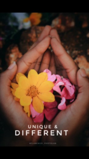 Flamingo_dr_ on TikTok