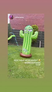 Home Bargains on Reels