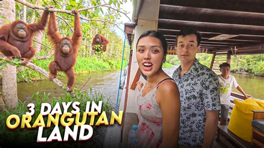Experiencing orangutan land on a remote Borneo jungle journey
