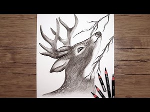 Drawing a Deer with Pencil | Step by Step Tutorial