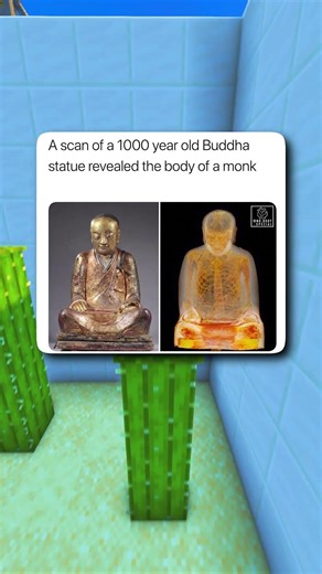 The Ultimate Hide and Seek Champion! 😂