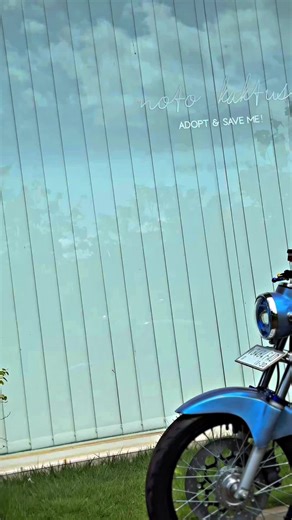 Kapan Login ? 😍 Ready stock GL100 Mesin tiger 200cc 6speed WA 081-259-815-693 #wiragarage #honda #gl100 #jualanonline #jualmotor