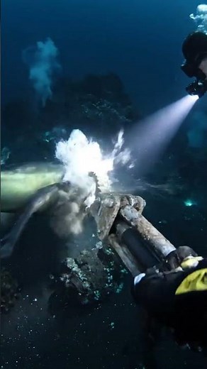 Deep Sea World Underground | Hidden Ocean Secrets Beneath the Earth
