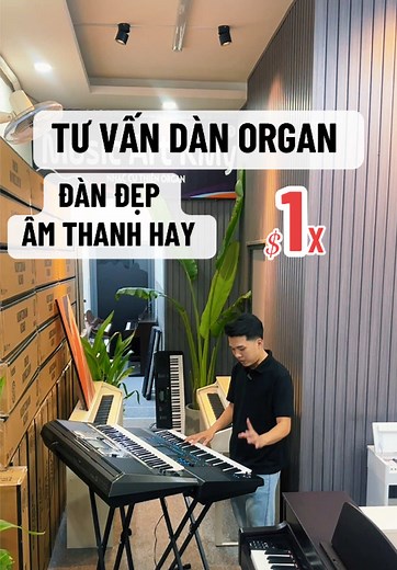 Tư vấn đàn organ giá rẻ chơi show: chọn Yamaha S770 hay Kurtzman SV800?