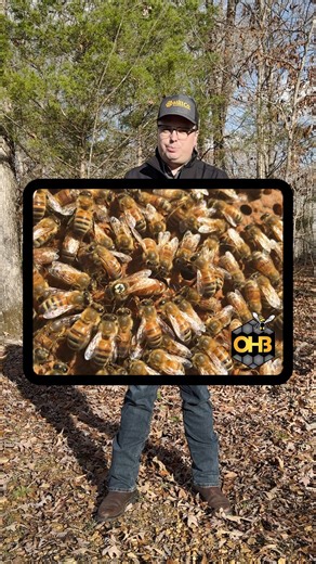 John’s back — and he’s bringing the biggest HillCo savings of the season… but only for a few days! 🔥 This Weekend’s Must-Grab Deals: • Speed-Fill XL • Roller Uncapper • NEW Turbo™ Bee Feed Fondant — Black Friday pricing… delivered straight to your doorstep! 🐝 And That’s Not All: Black Friday specials on 2026 package bees, now shippable to all 48 mainland states for the first time ever! Pick from top-tier genetics: Russian, Italian, Saskatraz, Golden West & more. Short window. Short supply. Hug