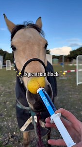 Got a horse that turns into a drama queen when it’s paste time? 😅 Here’s a simple trick: ➡️ Put your horse’s favourite treat on the end of the oral syringe before giving electrolytes, calming paste, or wormers. I used a pear 🍐 with B-QUIET Paste — and it worked a treat (literally!) Why we love B-QUIET Paste: - Packed with thiamine & magnesium for horses who are nervous, excitable, or on high-grain diets. - Perfect for use before travel, competition, or stressful events. - Supports focus, calm