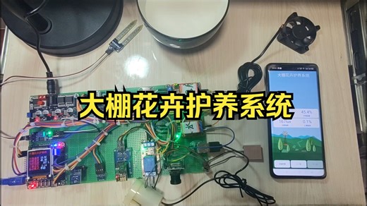 基于物联网设计的大棚花卉护养系统_298