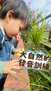 #2y2m👦🏻 好玩的吹氣遊戲～呼！ #小遊戲大樂趣還可訓練寶寶語言發展 在家阿公阿嬤會陪猛寶玩吹紙片、棉絮、或衛生紙；在外頭大自然，也到處都是素材，吹掉在地上的花瓣、落葉也好浪漫🥰 育兒小知識： 家有正在牙牙學語的寶寶，家長可以陪孩子多玩吹氣遊戲。因爲吹氣這個口部運動，是訓練寶寶構音清晰度與口腔肌肉的重要方式。 吹泡泡、衛生紙、笛子或吸管，這些都可以有效提升唇肌控制、氣流運用與圓唇音的發音能力。 練習關鍵在於「嘟嘴」的動作，可增加雙唇力量，並強化呼吸支持，學習長短、強弱的吹氣。 廖科溢 | 秦綾謙Donut & Yumi